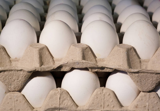 Huevos en caja de cartón escolton.Protein alimentos, huevos blancos en grandes cantidades. - Foto, imagen