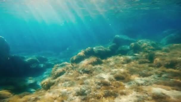 イタリアの休日の場所での水中ビュー。カラブリアのトロピー - 映像、動画