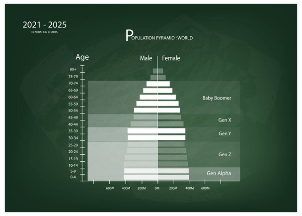 Népesség és demográfia, népességpiramis diagram vagy életkor szerinti struktúra grafikon a baby boomers generációval, X generáció, Y generáció, Z generáció és Alfa generáció 2021-2025-ben a zöld tábla hátterében. - Vektor, kép