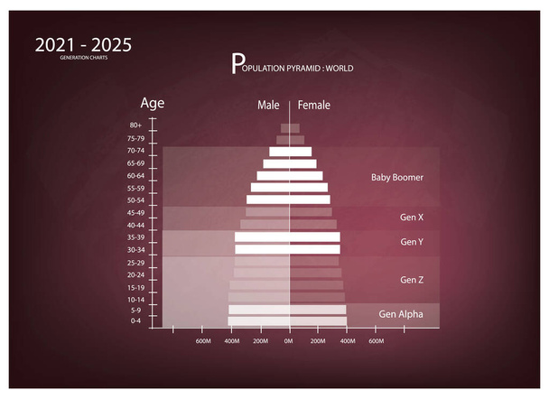 Population et démographie, graphique pyramidal des populations ou graphique de la structure par âge avec génération de baby-boomers, gén X, gén Y, gén Z et gén Alpha en 2021 à 2025 sur fond de tableau. - Vecteur, image