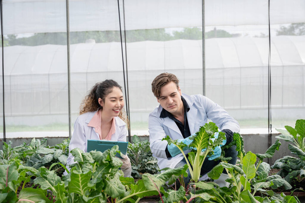 Two Agricultural researchers in the Industrial greenhouse analyze and research complex to produce better results in the future. - Photo, Image