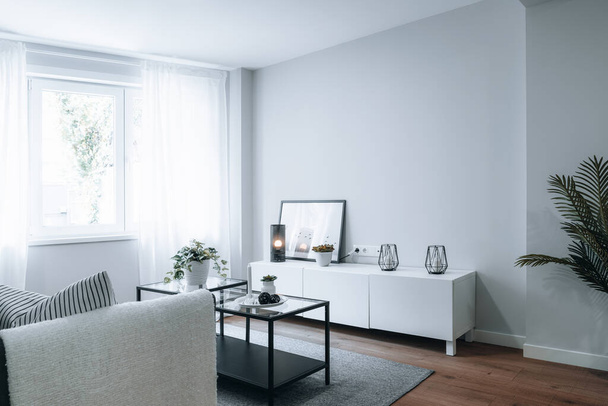 luminoso, moderno e minimalista appartamento con divano, tavolino e mobili con una foto in cima. scena immobiliare. - Foto, immagini