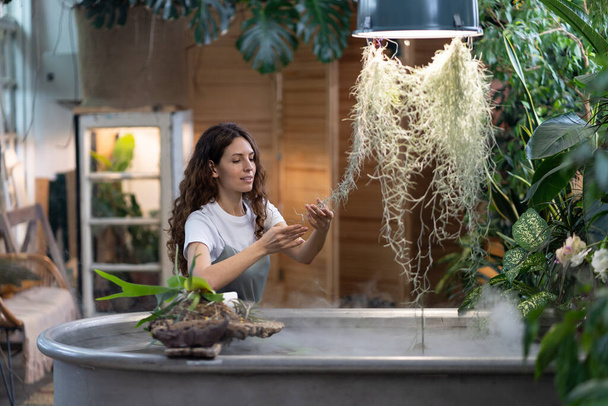 Happy young woman gardener taking care about aquatic plant in greenhouse, holding houseplant under freestanding bath with water, touching green leaves. Greenery at home garden, love for plants, hobby. - Fotoğraf, Görsel