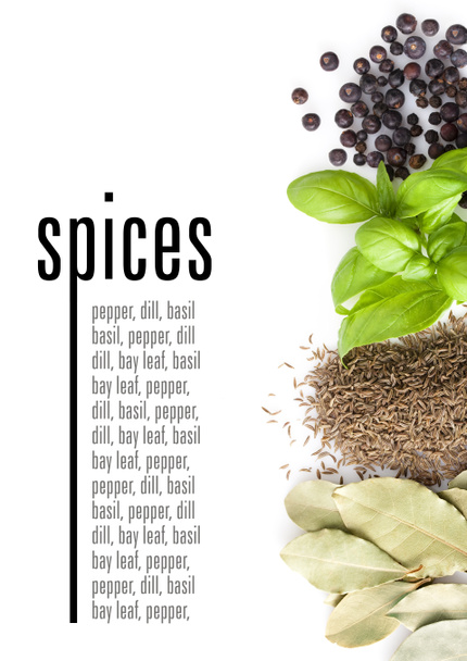 Spices on white background. With sample text - Photo, Image