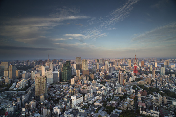 increíble horizonte tokyo
 - Foto, imagen