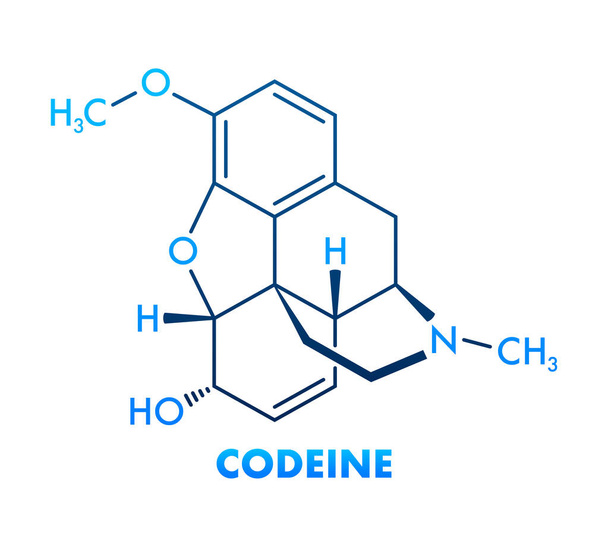Codeine chemical formula. Codeine chemical molecular structure. - Vektör, Görsel