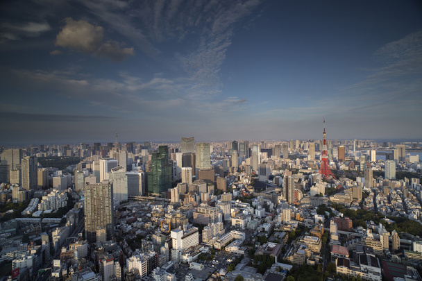 素晴らしい東京のスカイライン - 写真・画像