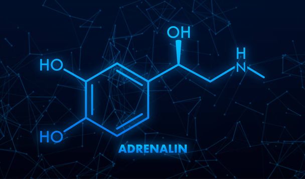Adrenalin vagy adrenalin, epinefrin neurotranszmitter molekula. Csontváz képlet.Vektor illusztráció. - Vektor, kép