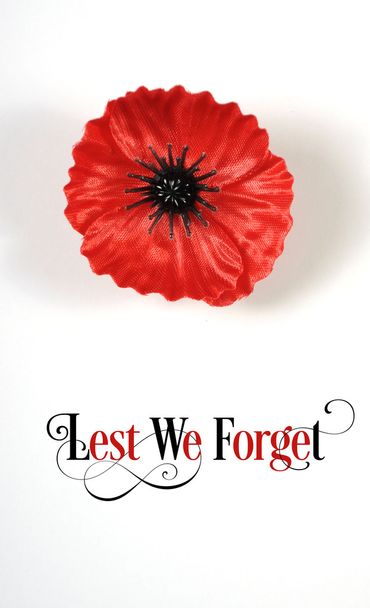 Les We vergeten Poppy voor Remembrance Day - Foto, afbeelding