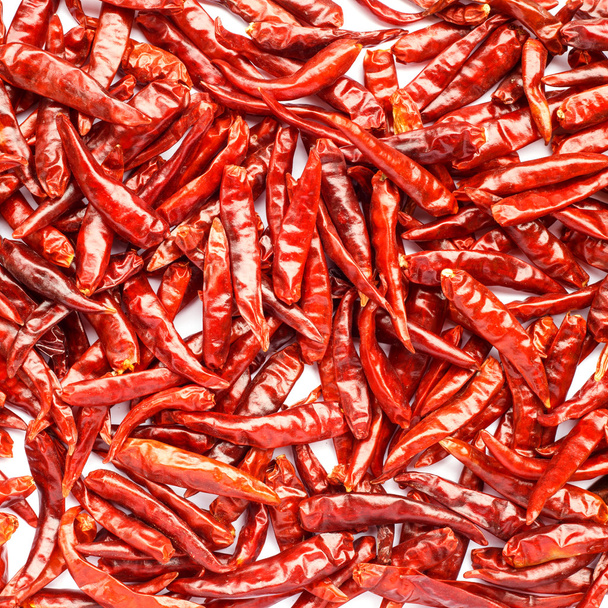 Lot of dried chili as a food background - Фото, зображення
