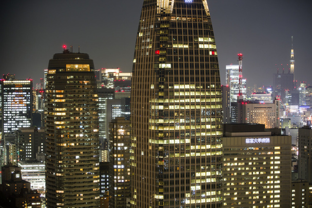 erstaunliche Tokyo Skyline bei Nacht  - Foto, Bild