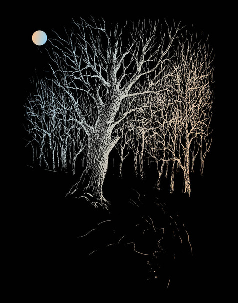 Silhouette di quercia argento al chiaro di luna su sfondo nero. Inchiostro vintage e disegno a penna tracciati vettoriali  - Vettoriali, immagini