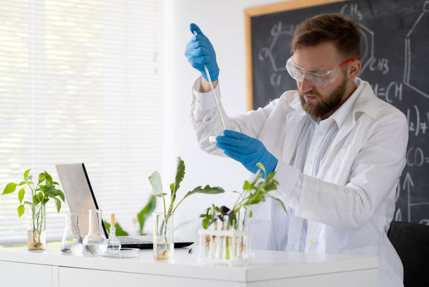 Портрет ученого, работающего с образцами зеленых растений в лаборатории, концепция школьной биологии - Фото, изображение