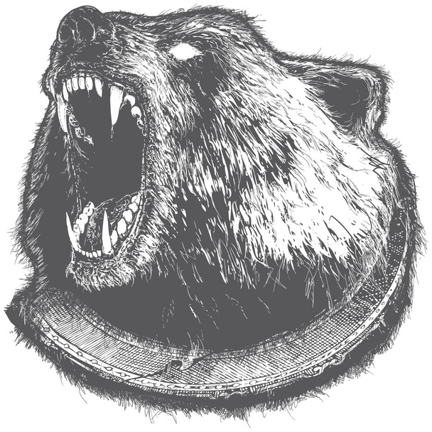 Ryk niedźwiedzia ilustracji wektorowych - Wektor, obraz
