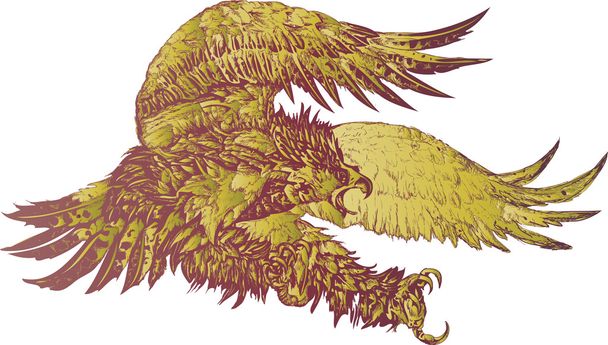 Krzycząc Eagle ilustracji wektorowych - Wektor, obraz