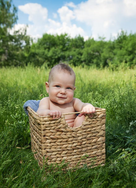 Baby in bascket on grass - Foto, afbeelding