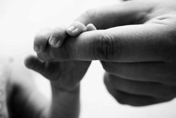 Close-up little hand of child and palm of mother and father. The newborn baby has a firm grip on the parents finger after birth. A newborn holds on to moms, dads finger. Black and white photo.  - Φωτογραφία, εικόνα
