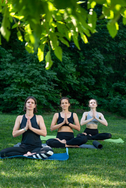 Egy csapat lány meditál reggel a parkban. Reggeli jóga edzés odakint. Fiatal nők a parkban jógáznak. - Fotó, kép