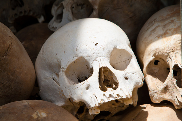 biały czaszka z masowego grobu khmer rouge ofiar w choeung ek - Zdjęcie, obraz