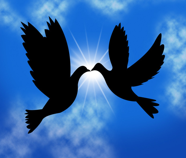 Περιστέρια της ειρήνης δηλώνει σμήνος πουλιών και άγριας ζωής - Φωτογραφία, εικόνα