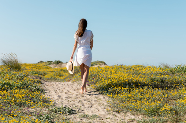 Back view of barefoot woman holding straw hat while walking on beach  - Φωτογραφία, εικόνα