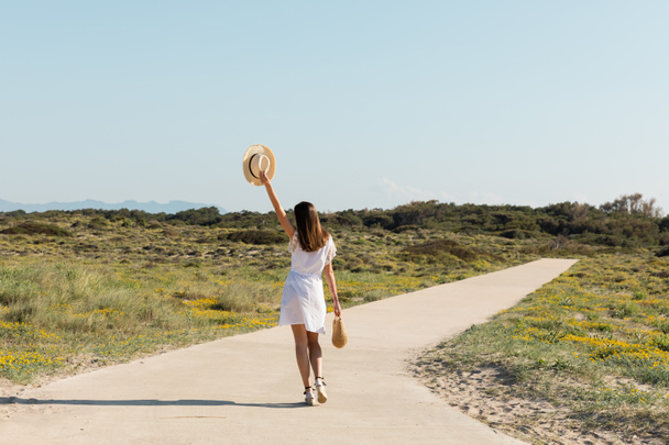 Takaisin näkymä brunette nainen tilalla aurinko hattu ja käsilaukku kävellessään rannalla  - Valokuva, kuva