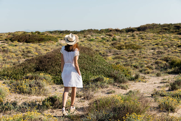 Back view of woman in straw hat walking near grass on beach  - Foto, afbeelding