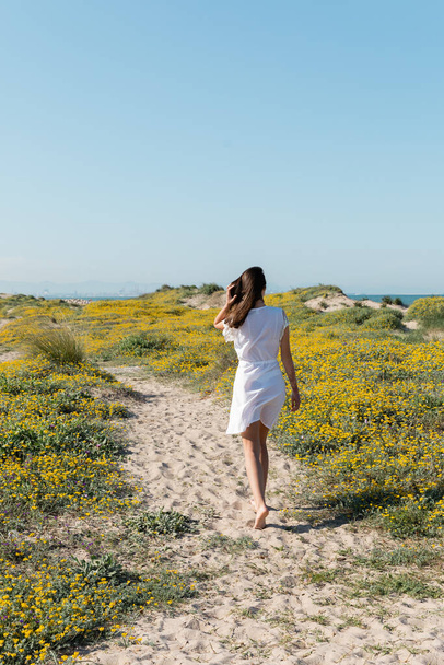 Vue arrière de la femme pieds nus en robe marchant sur le sable près des fleurs sur la plage  - Photo, image