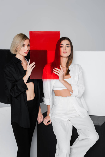 stylish women holding red glass near black and white cubes isolated on grey - Fotografie, Obrázek