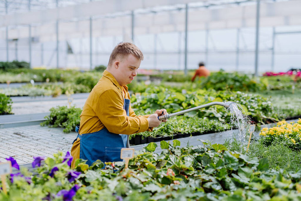 Un joven y feliz empleado con síndrome de Down que trabaja en el centro de jardinería, regando plantas con una cabeza de ducha y una manguera. - Foto, imagen
