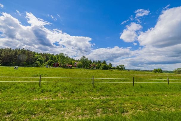 Beautiful landscape view on private pasture for livestock against blue sky with white clouds. Sweden. - Photo, Image