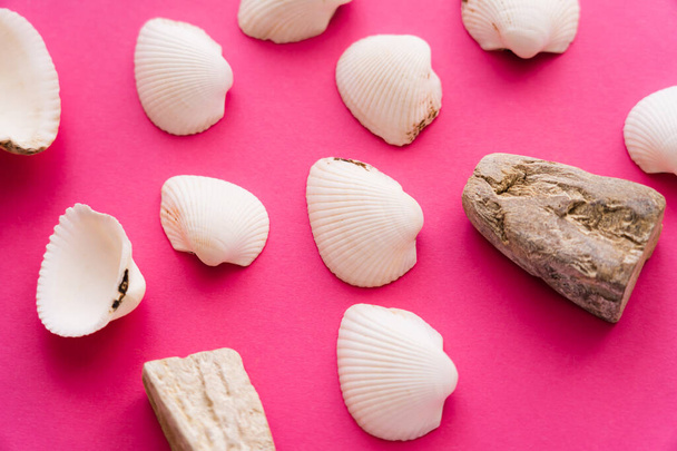 Top view of white seashells and stones on pink background  - Φωτογραφία, εικόνα