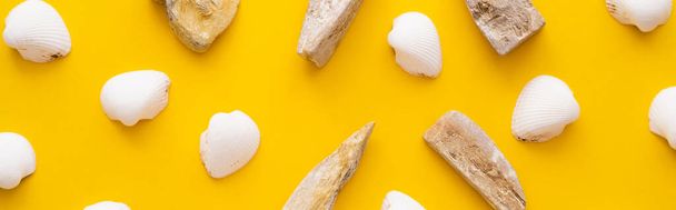 Flat lay with seashells and stones on yellow background, banner  - Foto, immagini