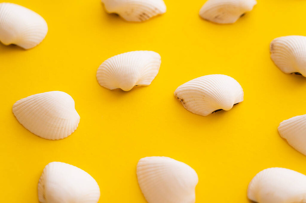 Vue rapprochée des coquillages blancs sur fond jaune  - Photo, image