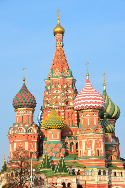 Moscow, Basil's cathedral on Red square - Фото, зображення