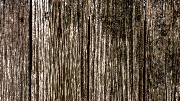 Old wood texture. - Photo, Image