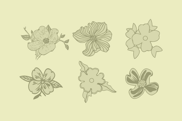 dogwood flower design modern vector set - Вектор,изображение