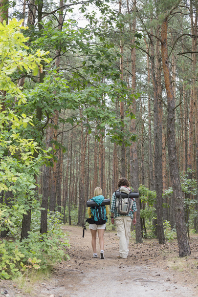 Couple walking in forest - Фото, зображення