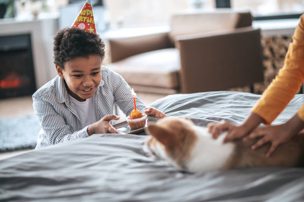 Puppys bday. A boy smiling and offering a pancake with a candle to the puppy - Fotografie, Obrázek