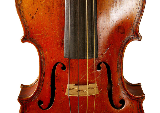 The violin - Foto, Imagem