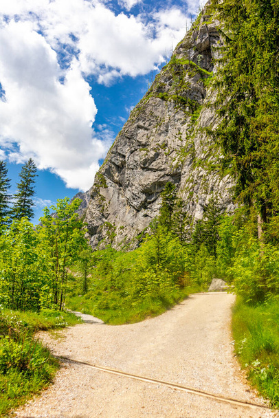 Hermoso recorrido de exploración a lo largo de las estribaciones alpinas de Berchtesgaden - Wimbachtal - Baviera - Alemania - Foto, Imagen