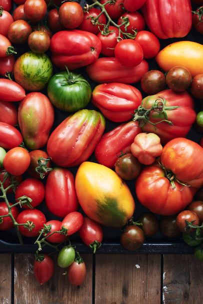 Homegrown tomatoes on a wooden table. Variety of tomatoes in a pile. - Foto, Bild