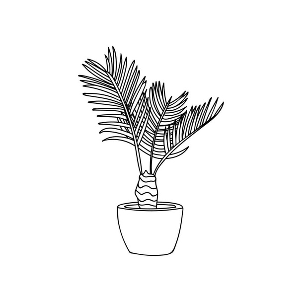 Fű pálmafa firka illusztráció vektorban. Ház pálmafa kézzel rajzolt illusztráció. Pot növény firka illusztráció - Vektor, kép
