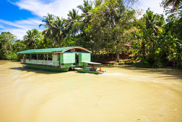 Egzotyczne rejs łodzią z turystów w dżungli rzekę Loboc, Bohol - Zdjęcie, obraz