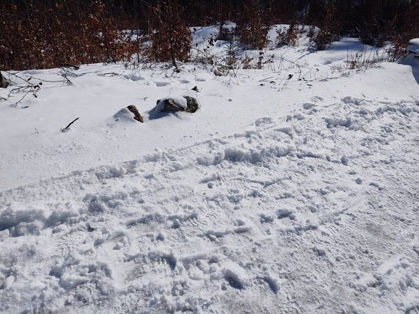 Mensen voetafdrukken en stappen in de sneeuw, chaotisch. Slowakije - Foto, afbeelding