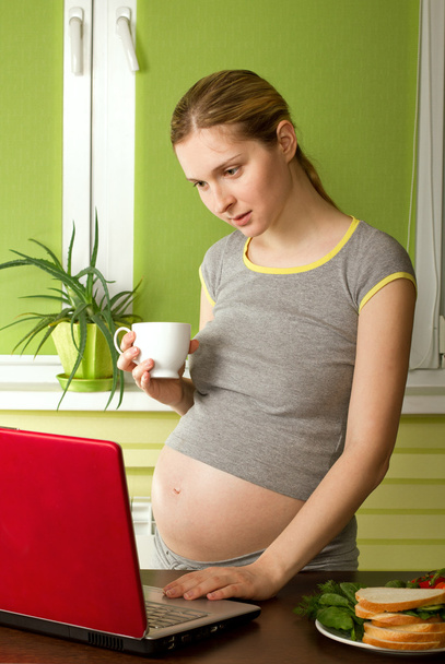 Tender pregnant female with laptop - Photo, image