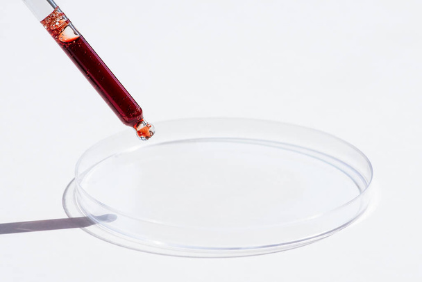 Dropper pipette with serum or red liquid and petri dish on white background. Transparent container with liquid and bubbles. The appearance of the texture of the gel. Medicine and beauty concept. - Photo, Image