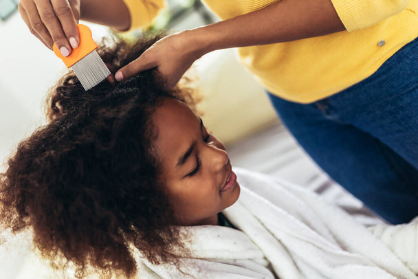 Mother doing head lice cleaning on her daughter curly hair.  - Photo, image