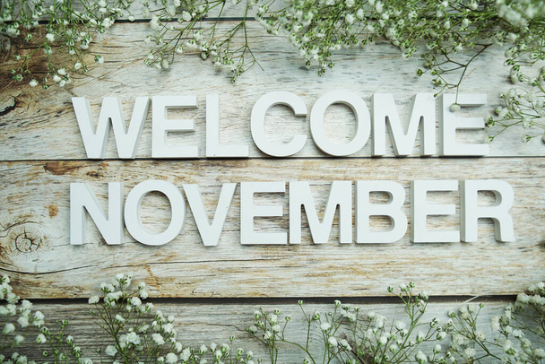 Welcome November alphabet letters on wooden background - Foto, afbeelding