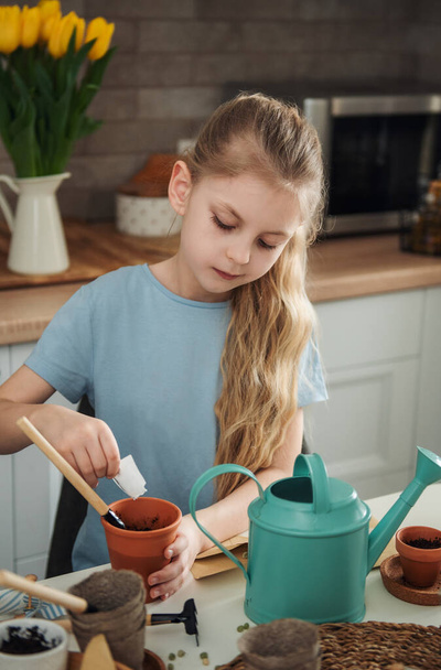 Little girl sitting at the table at home, sowing seeds into flower pots. Home gardening  - Foto, imagen